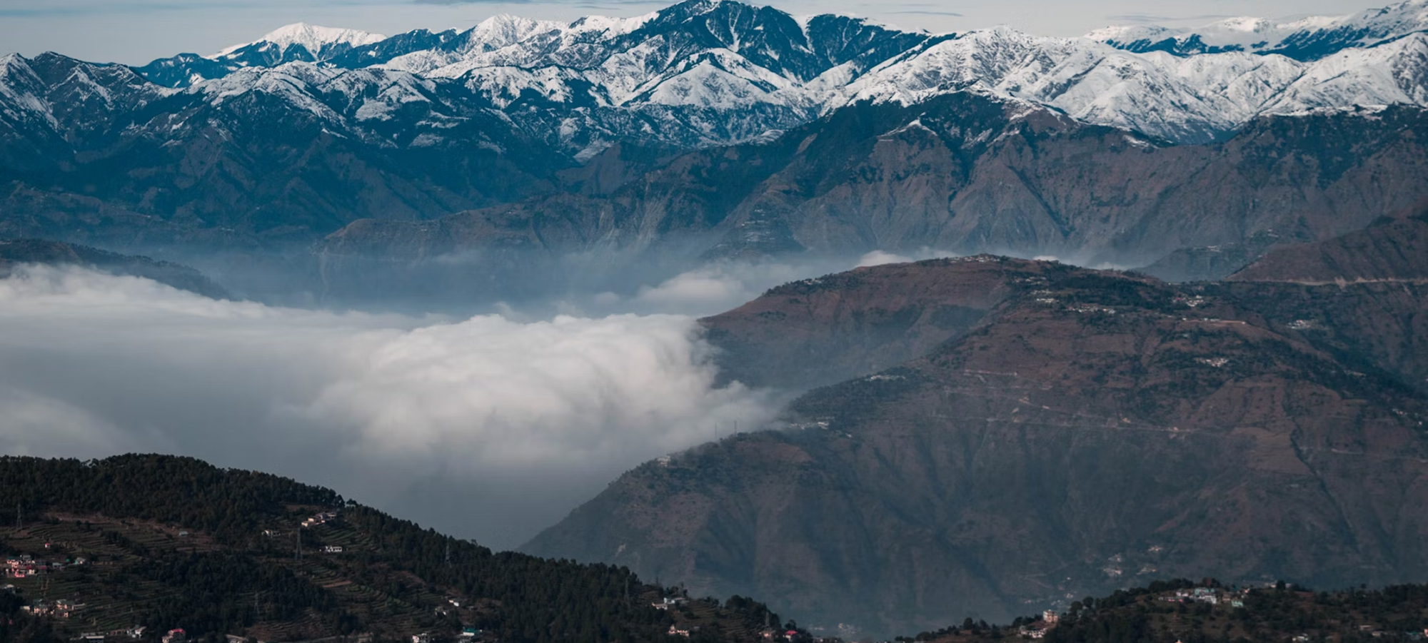 dalhousie