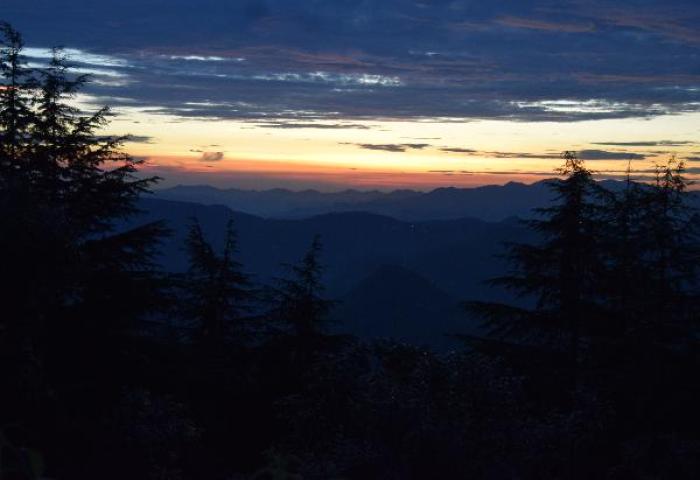 shimla
